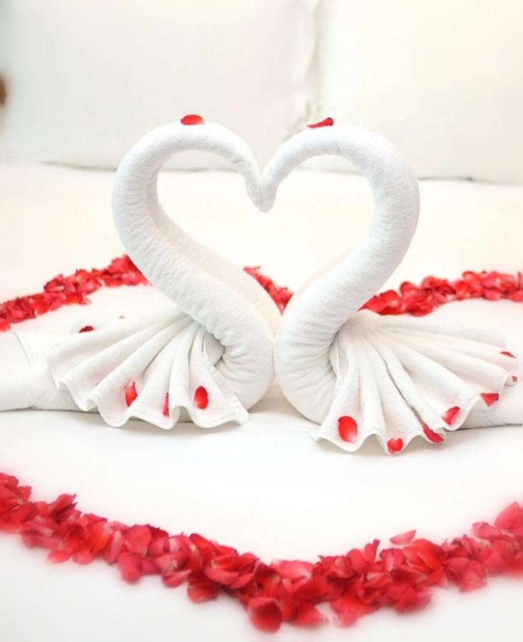 Paradise Cosy au Coin du feu Massage Ferolles Extérieur photo